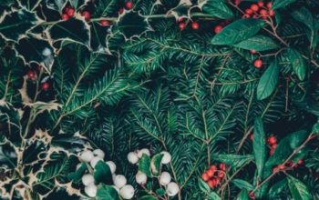 Make This Year Magical with a Beautiful Artificial Christmas Tree: A Comprehensive Guide on Choosing the Right One