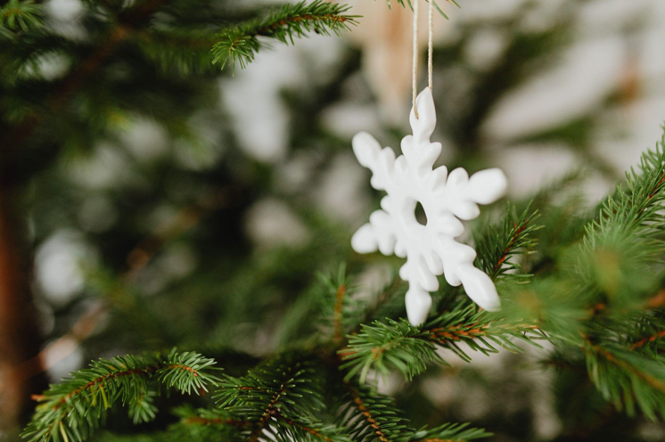 Discover the Joy of Pre Lit Christmas Trees