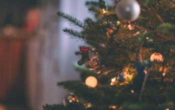 The Best Way to Find Affordable Christmas Trees