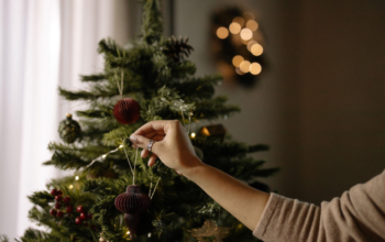 Find the Perfect Christmas Ornaments